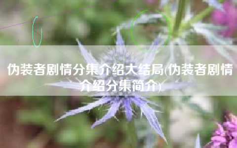 伪装者剧情分集介绍大结局(伪装者剧情介绍分集简介)