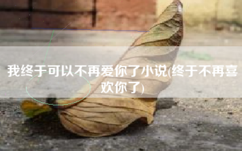 我终于可以不再爱你了小说(终于不再喜欢你了)