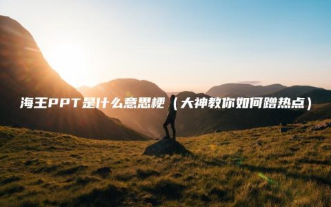 海王PPT是什么意思梗(大神教你如何蹭热点)