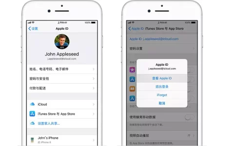 苹果手机忘记了id密码怎么办(解锁Apple ID教程)