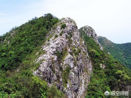 深圳登山有哪些地方推荐？(深圳海拔)