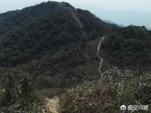 深圳登山有哪些地方推荐？(深圳海拔)