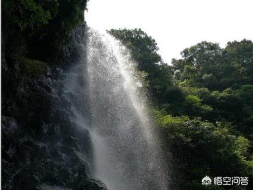 深圳登山有哪些地方推荐？(深圳海拔)