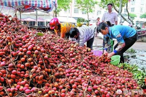 广西人眼中的玉林是什么样的？(玉林是几线城市)