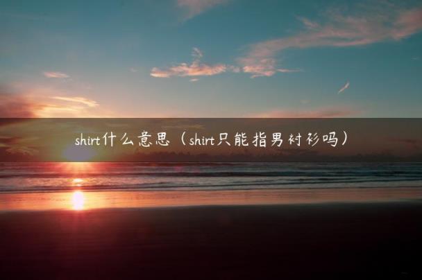 shirt什么意思（shirt只能指男衬衫吗）