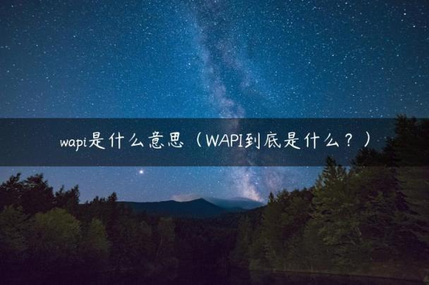 wapi是什么意思（WAPI到底是什么？）