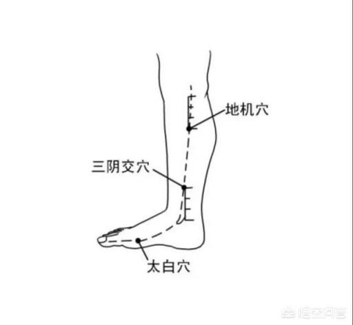 有什么穴位按摩可以祛湿？(按摩哪些部位可以减肥)