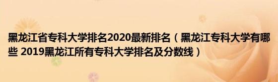 黑龙江省专科大学排名2020最新排名(黑龙江专科大学有哪些2019黑龙江所有专科大学排名及分数线)