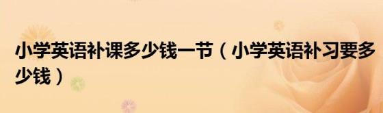 小学英语补课多少钱一节(小学英语补习要多少钱)