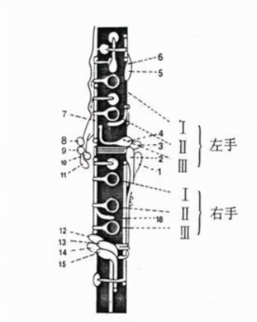 单簧管属于什么乐器，3步学会总指法和简单指法技巧？