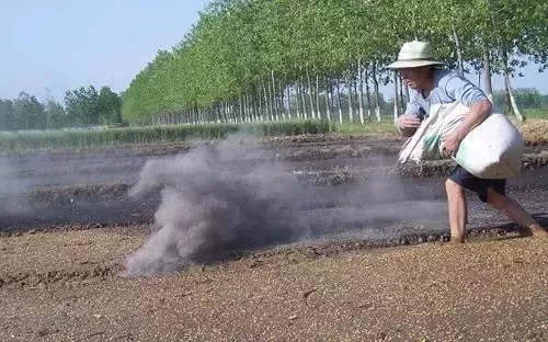 草木灰的主要成分解析，草木灰的用途有哪些？