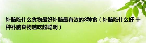 补脑吃什么食物最好补脑最有效的8种食（补脑吃什么好(十种补脑食物越吃越聪明）)