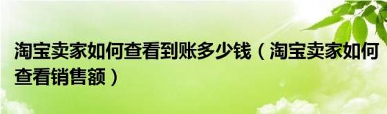 淘宝卖家如何查看到账多少钱（淘宝卖家如何查看销售额）