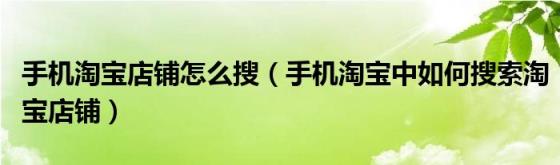 手机淘宝店铺怎么搜（手机淘宝中如何搜索淘宝店铺）