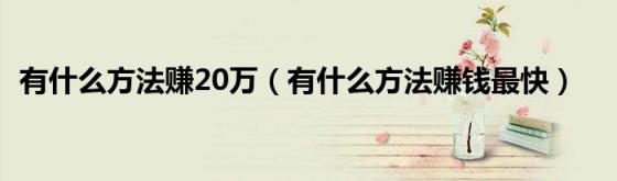 有什么方法赚20万（有什么方法赚钱最快）