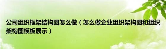 公司组织框架结构图怎么做（怎么做企业组织架构图和组织架构图模板展示）