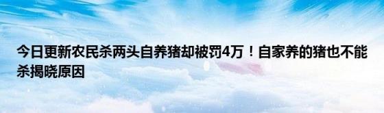 今日更新农民杀两头自养猪却被罚4万！自家养的猪也不能杀揭晓原因