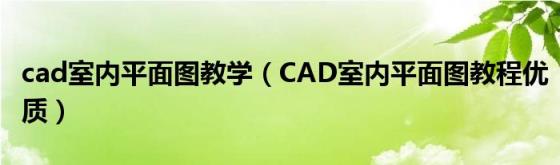 cad室内平面图教学（CAD室内平面图教程优质）