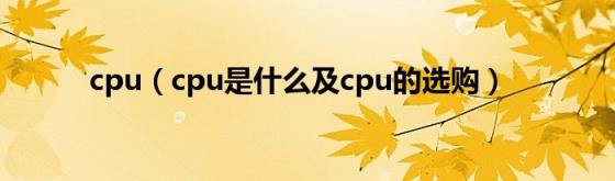 cpu（cpu是什么及cpu的选购）