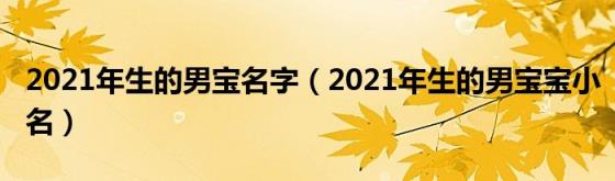 2021年生的男宝名字（2021年生的男宝宝小名）