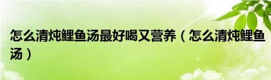 怎么清炖鲤鱼汤最好喝又营养（怎么清炖鲤鱼汤）