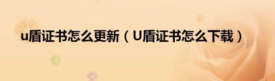 u盾证书怎么更新（U盾证书怎么下载）