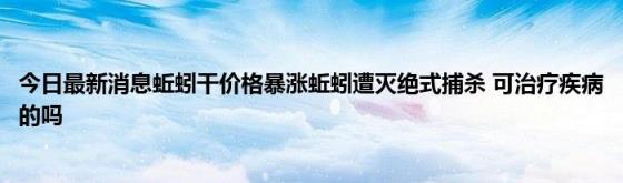 今日最新消息蚯蚓干价格暴涨蚯蚓遭灭绝式捕杀(可治疗疾病的吗)