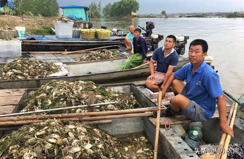 现在养殖投资小赚钱快的6个项？(现在养殖什么东西投资小赚钱快)