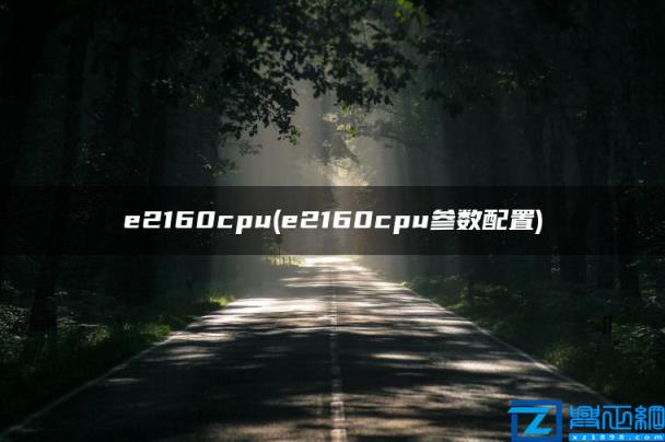 e2160cpu(e2160cpu参数配置)