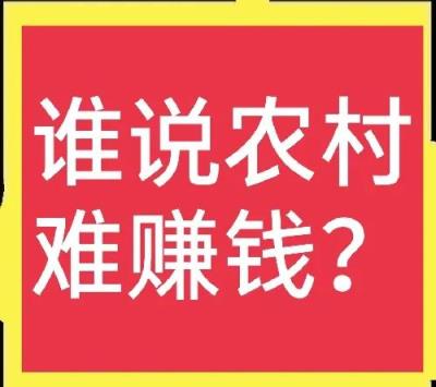 乡镇开什么店比较有市场（乡镇冷门暴利生意）