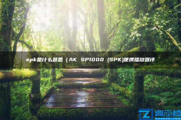 spk是什么意思（AK SP1000 (SPK)便携播放器评