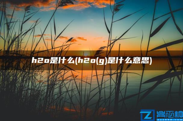 h2o是什么(h2o(g)是什么意思)