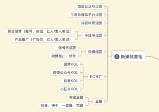 主要概念和性质？(新媒体营销是做什么)