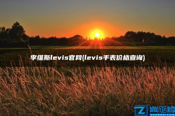 李维斯levis官网(levis手表价格查询)