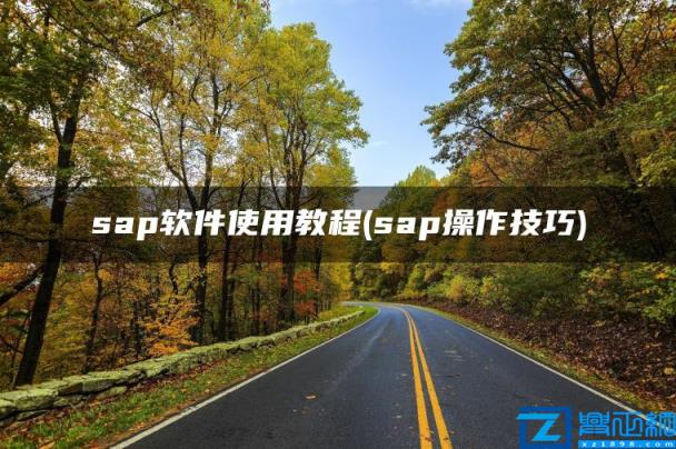 sap软件使用教程(sap操作技巧)