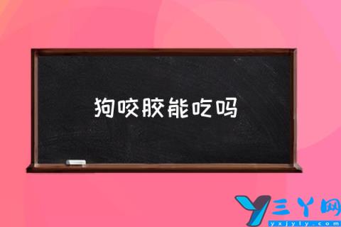 狗咬胶能吃吗,狗咬胶是什么？