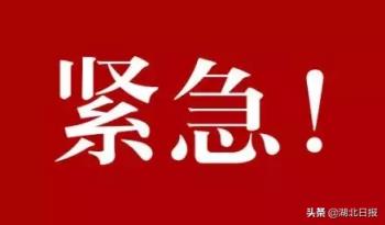 台风来袭武汉突降暴雨是怎么回事，关于湖北武汉的台风的新消息。