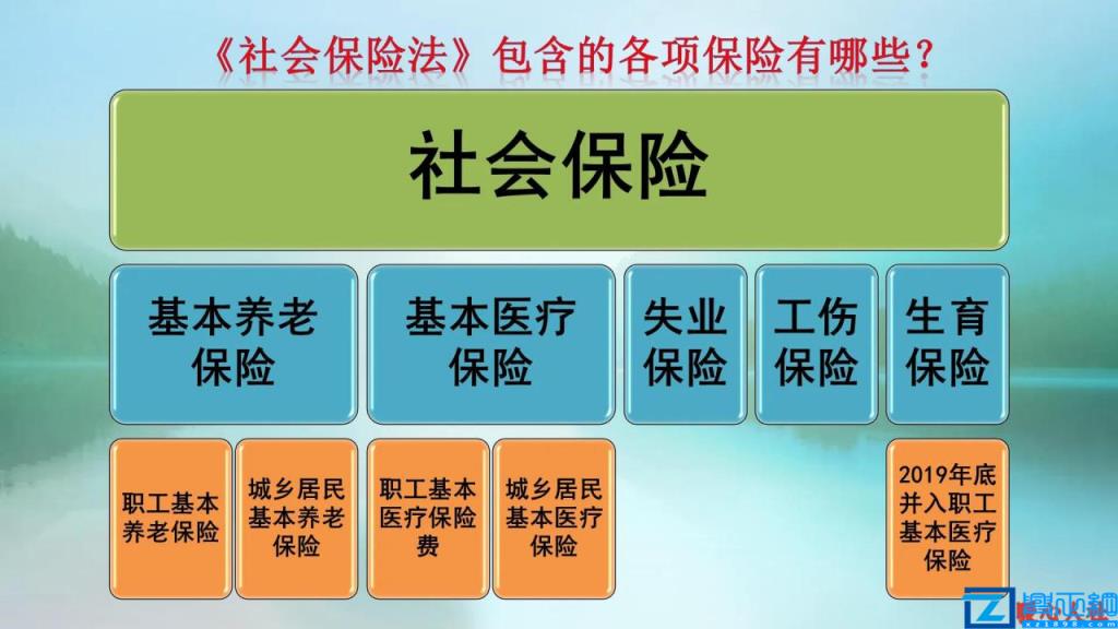 个人社保缴费计算(社保缴费基数怎么算)