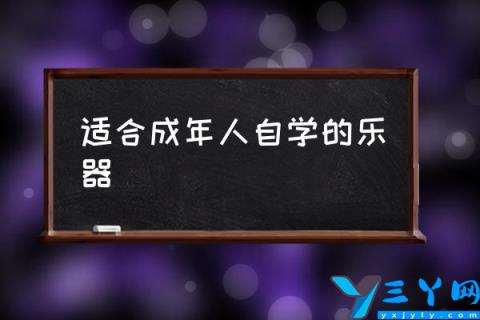 适合成年人自学的乐器,哪种乐器最容易学？