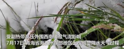 罕见!青海“三伏天”出现降雪,太美了！！