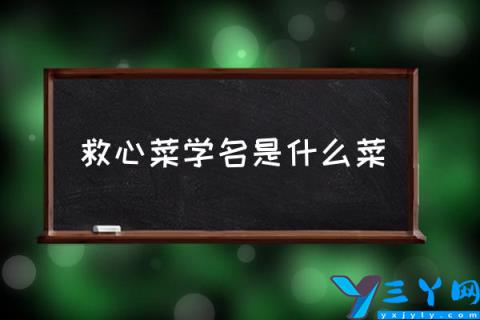 救心菜学名是什么菜,救心菜长啥样？