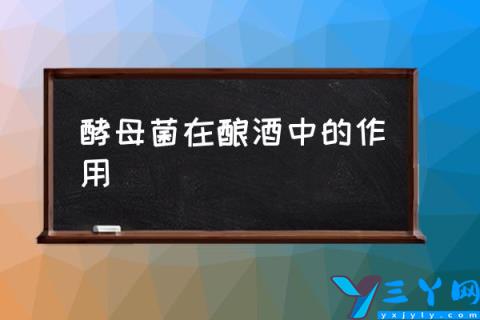 酵母菌在酿酒中的作用,酿酒酵母菌的作用和用途？