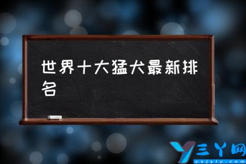 世界十大猛犬最新排名,世界狗王排行榜？