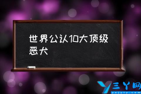 世界公认10大顶级恶犬,最凶悍的猛犬？