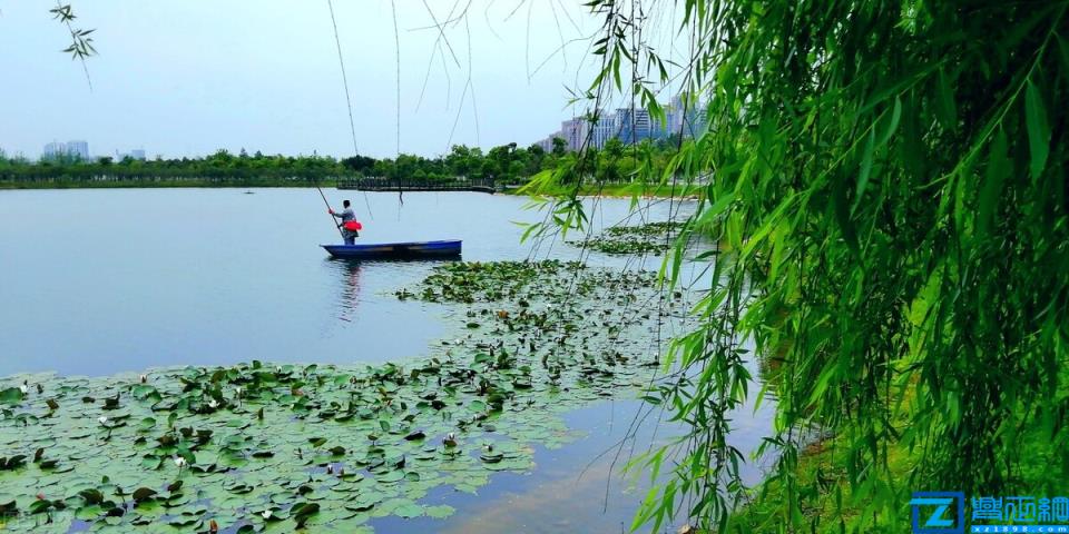 过错责任原则是什么意思(过错责任原则的适用范围)