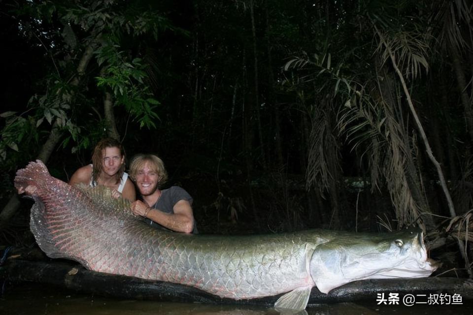 亚马逊河十大恐怖生物(亚马逊河深处的十种可怕生物)