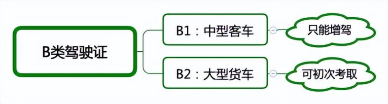 驾驶证的种类和准驾车型(驾照有17种，各自准驾车型明细)